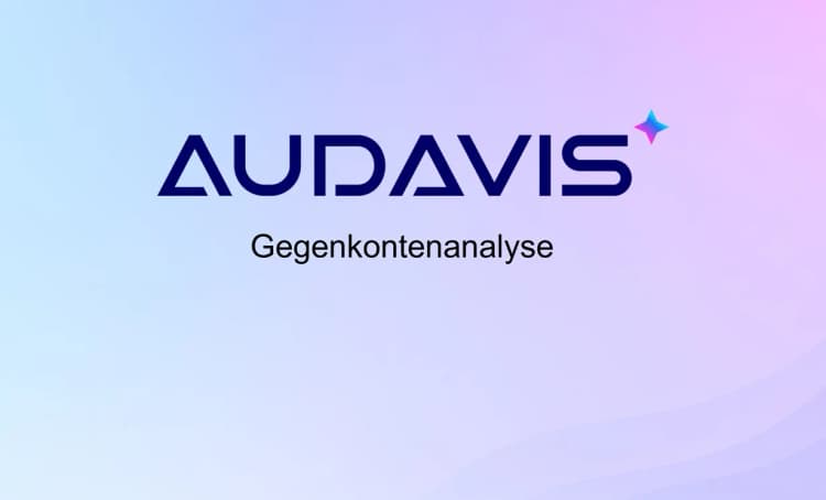 Gegenkontenanalyse in AUDAVIS